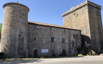 ¿Cómo proteger tu empresa?