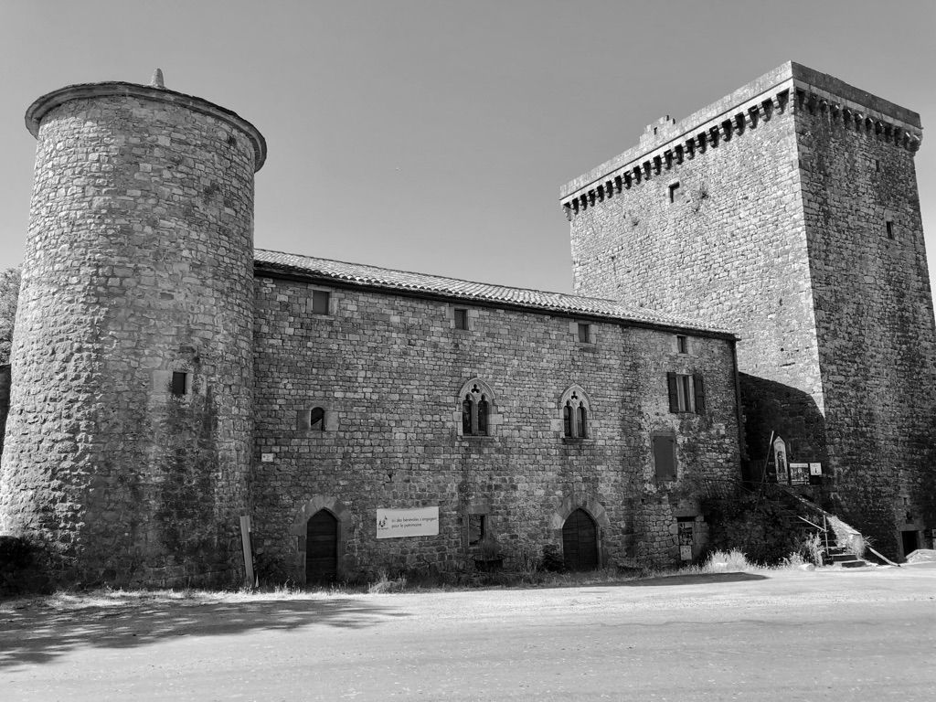 Seguridad y Vigilancia